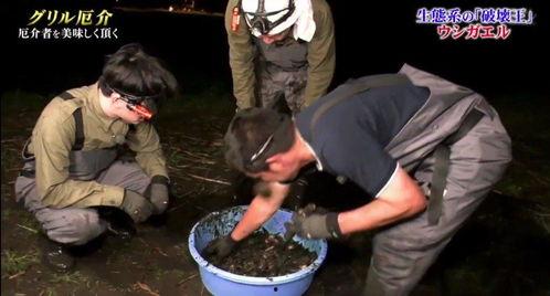 牛哥最新爆料视频大全,揭秘娱乐圈幕后真相  第1张