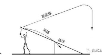 击球手三视图爆料视频大全,全方位解析运动美学与科技融合 第1张 击球手三视图爆料视频大全,全方位解析运动美学与科技融合 第1张
