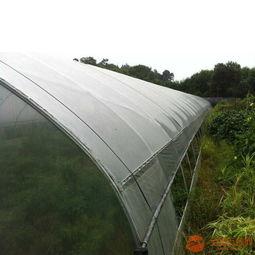 南城大棚爆料最新消息  第1张